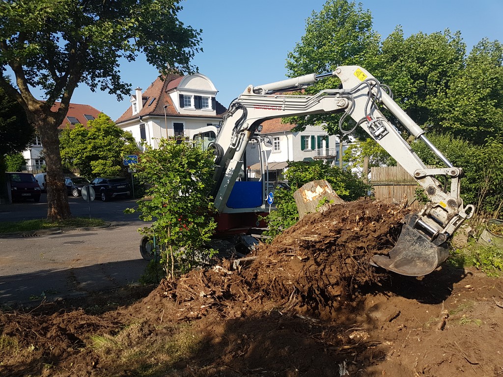 Rodung und Umgestaltung